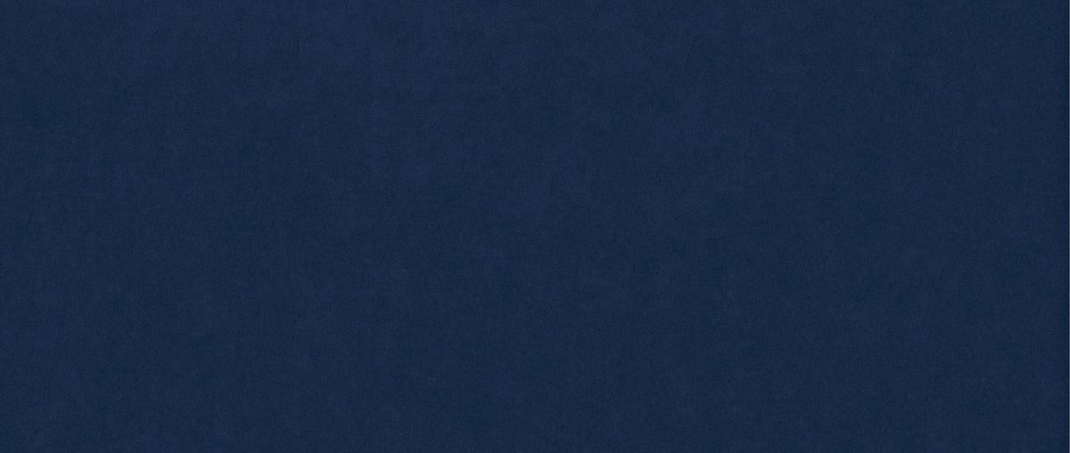 CHESTERFIELD-SOFA 2-Sitzer Lexi Marineblau Samt - Goldfarben/Dunkelblau, Holz/Textil (185/75/100cm) - S-Style Möbel
