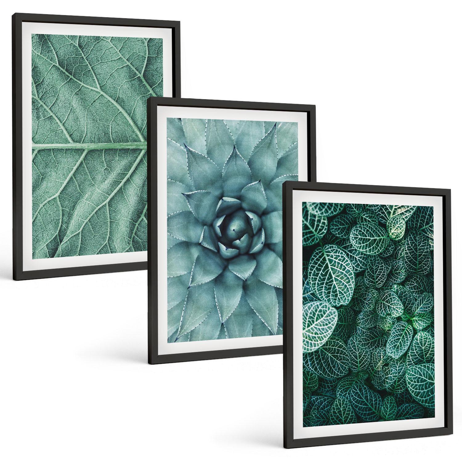 BILDER SET 3er Set - 40x60 cm Schwarzer Rahmen - Nahaufnahme von Pflanzenblättern - Schwarz, Kunststoff (40/60cm) - TULUP