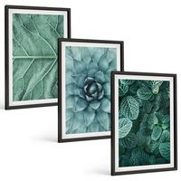 BILDER SET 3er Set - 40x60 cm Schwarzer Rahmen - Nahaufnahme von Pflanzenblättern - Schwarz, Kunststoff (40/60cm) - TULUP