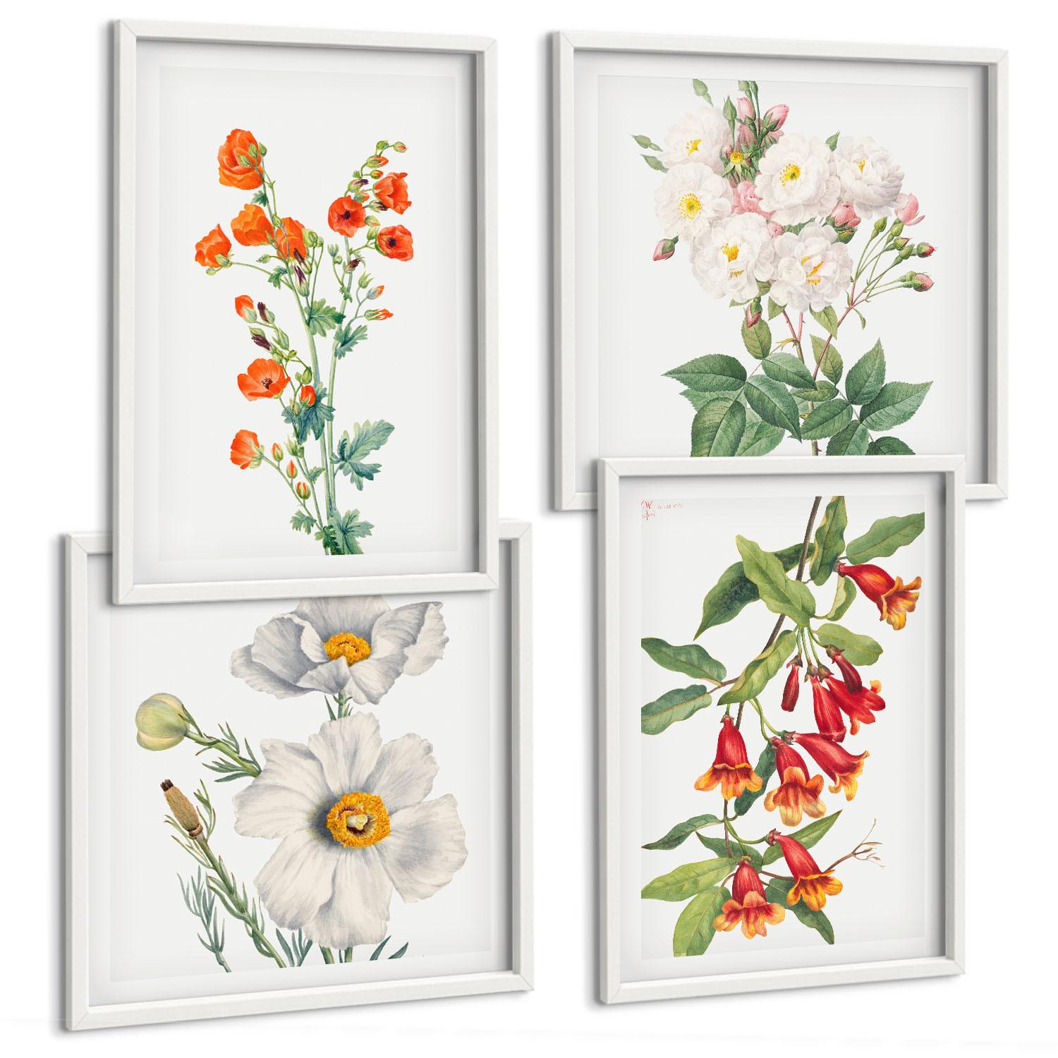 BILDER SET 4er Set - 50x50 cm & 40x60 cm Weißer Rahmen - Retro-Blumenmalerei - Weiß, Kunststoff (50/50cm) - TULUP