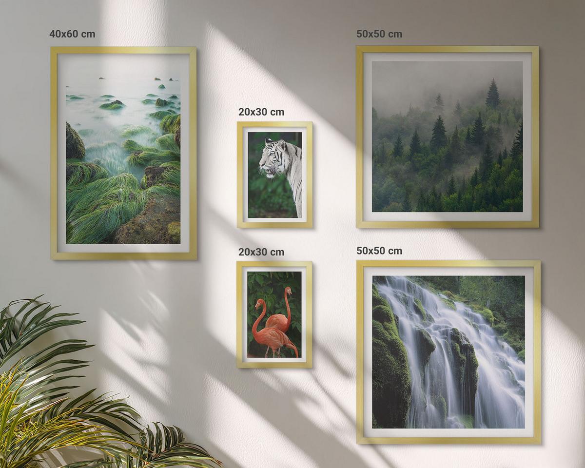 BILDER SET 5er Set - 50x50 cm & 20x30 cm & 40x60 cm Goldrahmen - Tiger Wasserfall Flamingos Natur - Goldfarben, Kunststoff (40/60cm) - TULUP