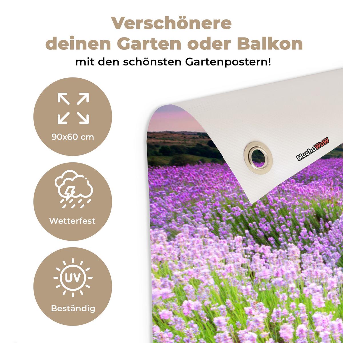 GARTENPOSTER Blumen - Lavendel - Lila - Himmel - Sonnenuntergang - Wiese - Natur Gartendeko 90x60 cm - Flieder, Kunststoff (90/60/0.2cm) - OnlyWow