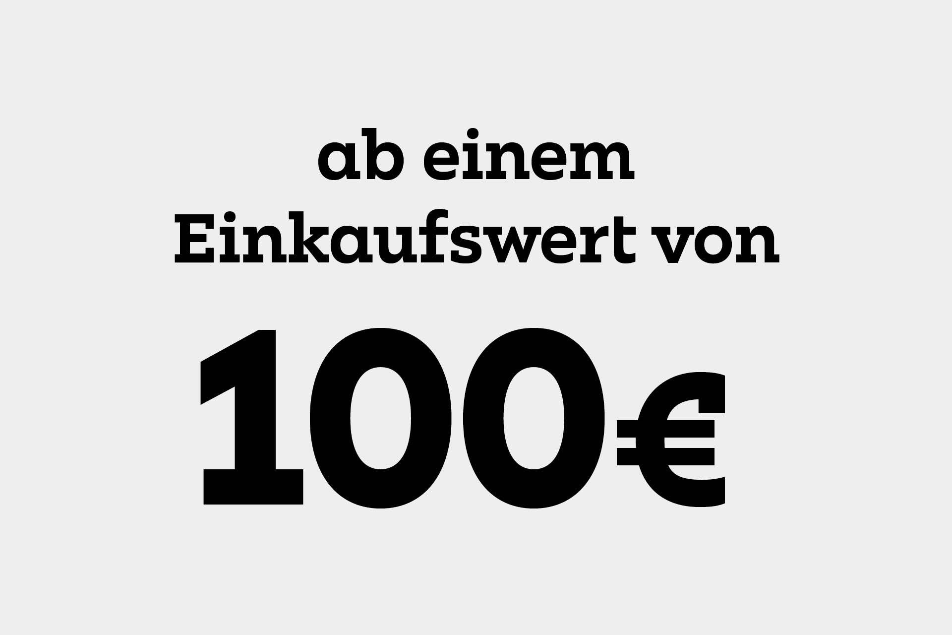 Einkaufswert 100€