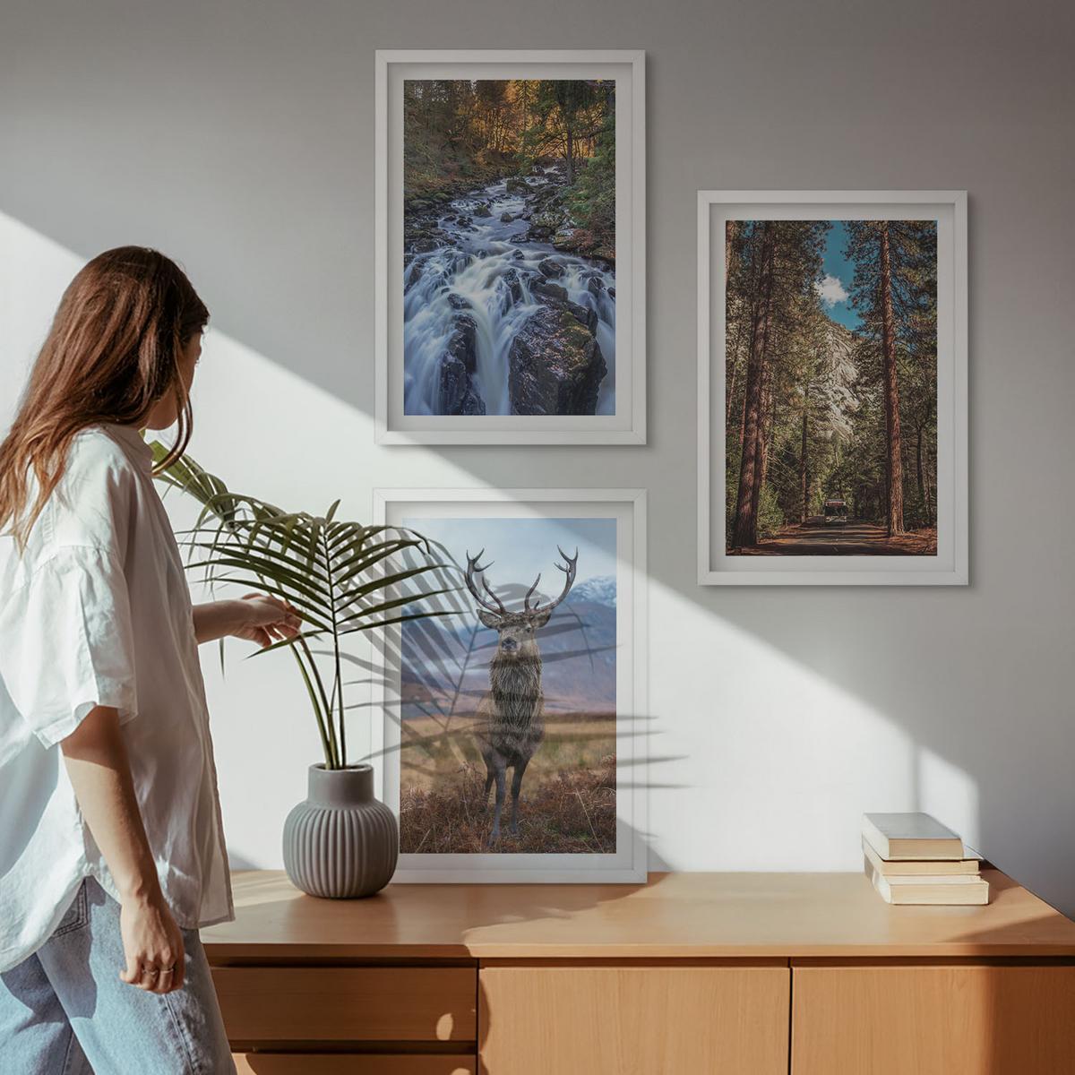 BILDER SET 3er Set - 40x60 cm Weißer Rahmen - Wasserfall Wald Berge Hirsch Natur - Weiß, Kunststoff (40/60cm) - TULUP