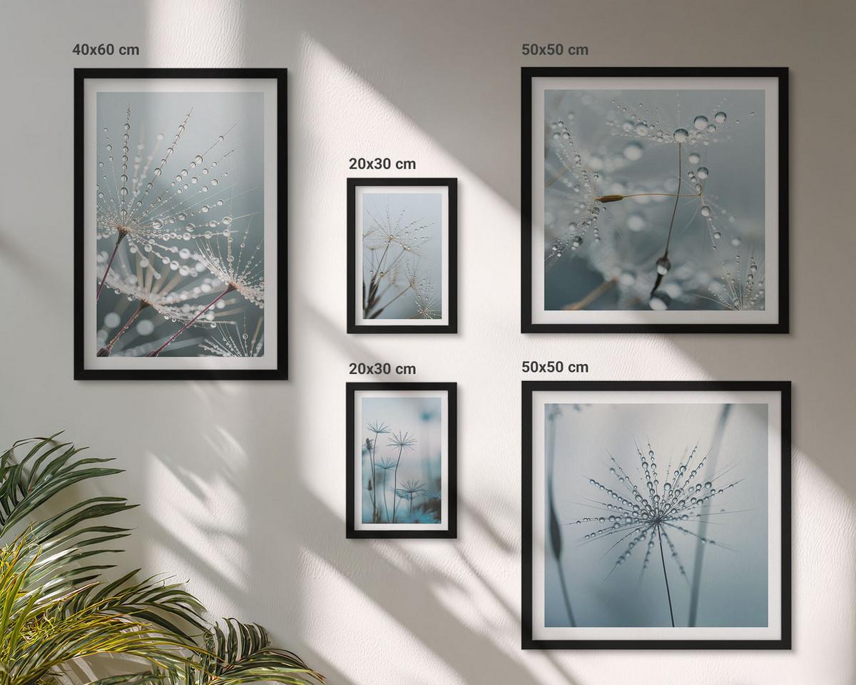 BILDER SET 5er Set - 50x50 cm & 20x30 cm & 40x60 cm Schwarzer Rahmen - Tautropfen auf Löwenzahn - Schwarz, Kunststoff (40/60cm) - TULUP