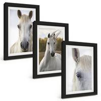 BILDER SET 3er Set - 20x30 cm Schwarzer Rahmen - Weiße Pferde in der Natur - Schwarz, Kunststoff (20/30cm) - TULUP