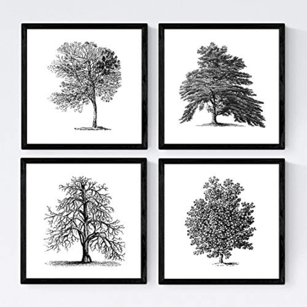 POSTER Set mit 4 Obstbäume ohne 20x20cm Schwarzer Rahmen - Schwarz, Papier (20/3cm) - Nacnic