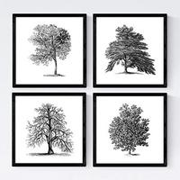 POSTER Set mit 4 Obstbäume ohne 20x20cm Schwarzer Rahmen - Schwarz, Papier (20/3cm) - Nacnic