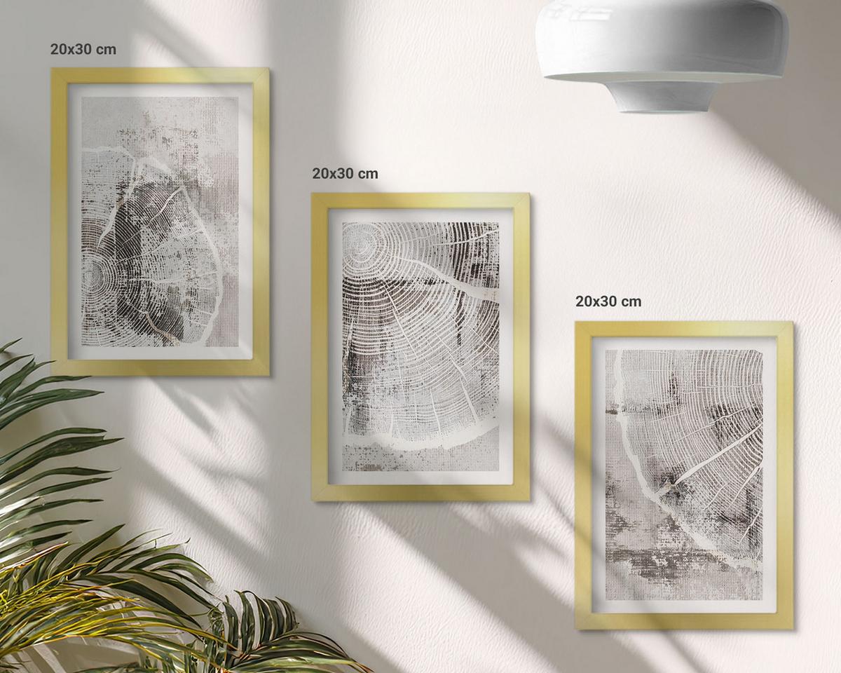 BILDER SET 3er Set - 20x30 cm Goldrahmen - Graue Holzmaserungsmuster - Goldfarben, Kunststoff (20/30cm) - TULUP