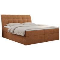 BOXBETT DIEGOS 200/200 Orange Struktur - H3 - Orange, Holz/Textil (200/200cm) - MKS