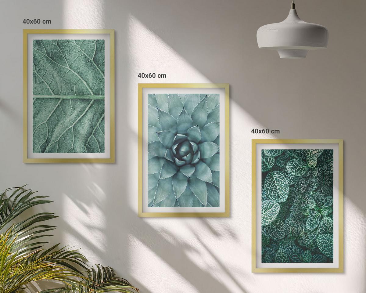 BILDER SET 3er Set - 40x60 cm Goldrahmen - Nahaufnahme von Pflanzenblättern - Goldfarben, Kunststoff (40/60cm) - TULUP