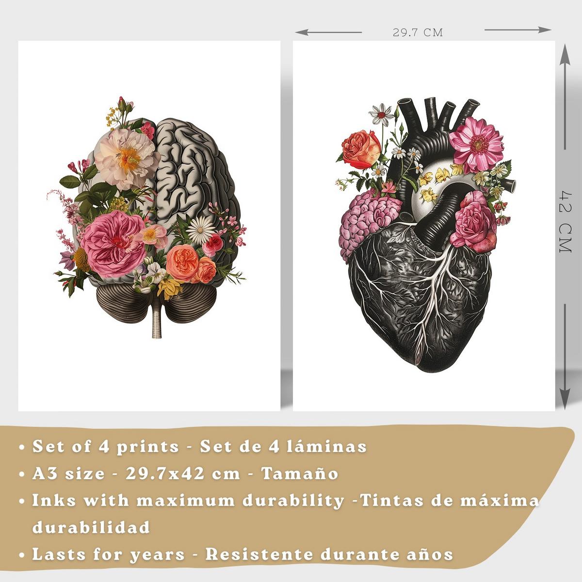 POSTER Set aus 4 Anatomie Drucke und Dekorative mit Gehirn Herz Lungen Atmungssystem Rippen Wirbelsäule Modernes Florales Größe Schwarzer Rahmen A3 - Schwarz, Papier (29.7/42/3cm) - Nacnic