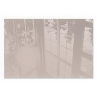 GLASPLATTE für Kamin 60x40 cm - Beige, Glas (60/40/0.4cm) - TULUP