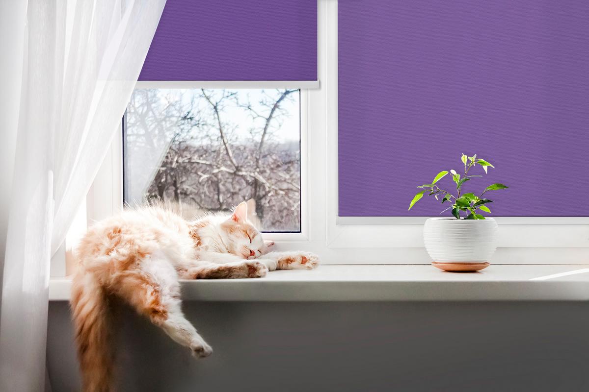 INNENROLLO - Fensterrollo - Rollo - 60x40 cm - Lila - Violett, Kunststoff (60/140/0.5cm) - TULUP