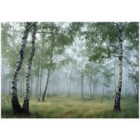 VLIESTAPETE Wald Birken 3D Effekt Natur Schlafzimmer 200x140 - Multicolor, Papier (200/140cm) - Wallarena