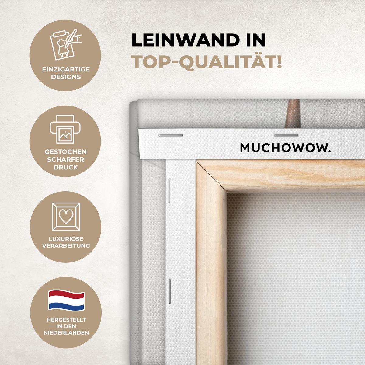 LEINWANDBILD Schottischer Highlander - Tier - Zeitung - Toilette Wandbilder 80x60 cm - Kastanienfarben, Textil (80/60cm) - MuchoWow