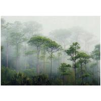 FOTOTAPETE 3D Effekt Wald im Nebel 300x210 - Multicolor, Papier (300/210cm) - Wallarena