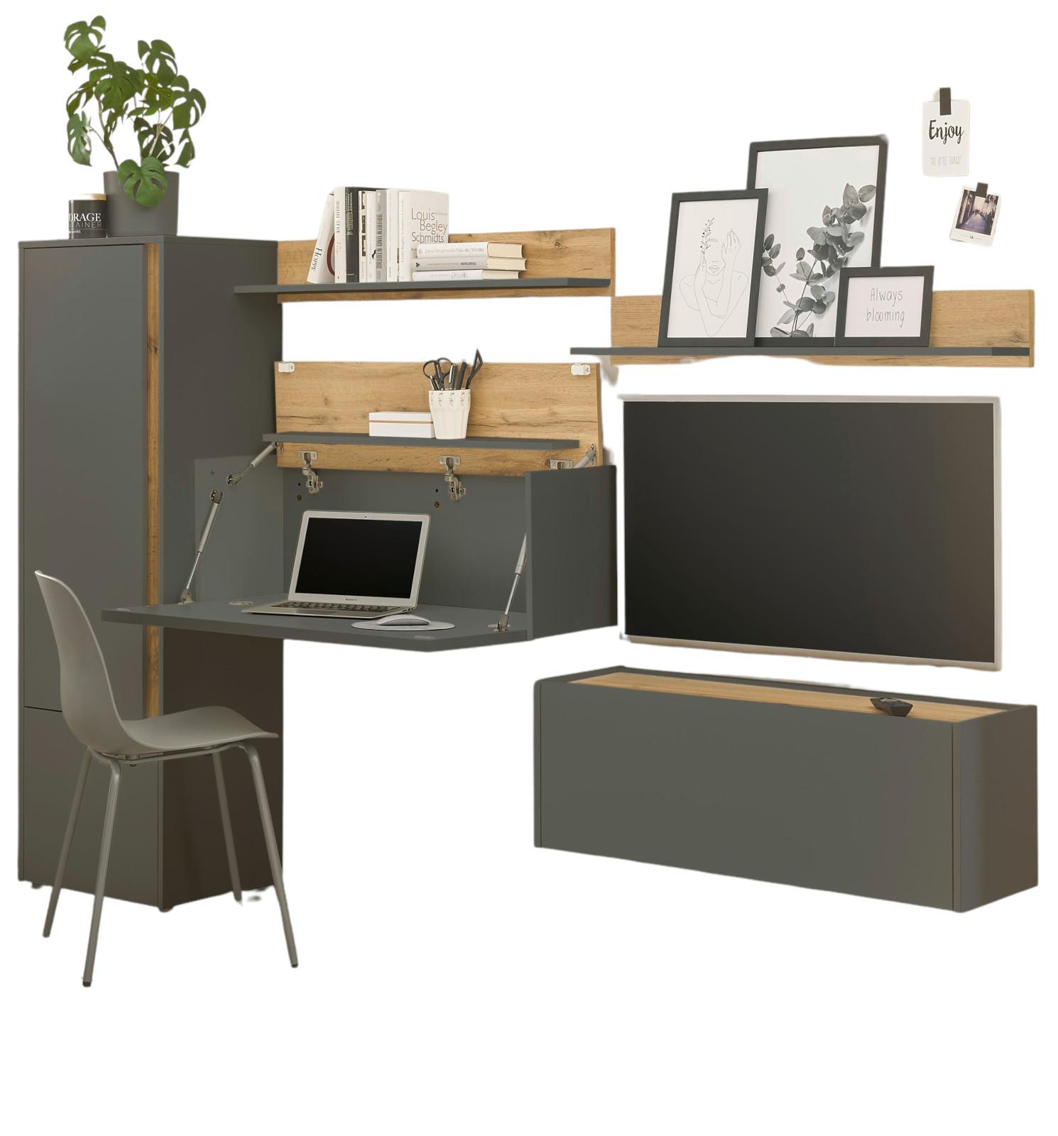 WOHNWAND grau matt, Eiche Wotan 5-teilig 250 cm, Wohnkombination mit Sekretär - Grau, Holzwerkstoff/Kunststoff (250/158/40cm) - Furn.Design