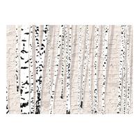 VLIESTAPETE 250/175 cm - Beige, Textil (250/1cm) - KUNSTLOFT