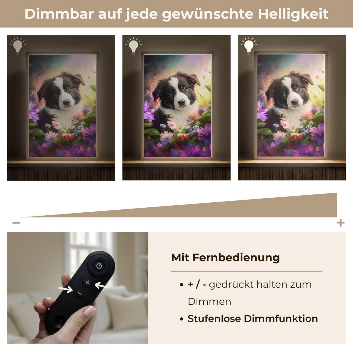 WANDLEUCHTE MIT AKKU Welpe - Sonne - Blumen - Natur - Border Collie - Hund 40x60 cm - Violett, Holzwerkstoff (40/60/8cm) - OnlyWow