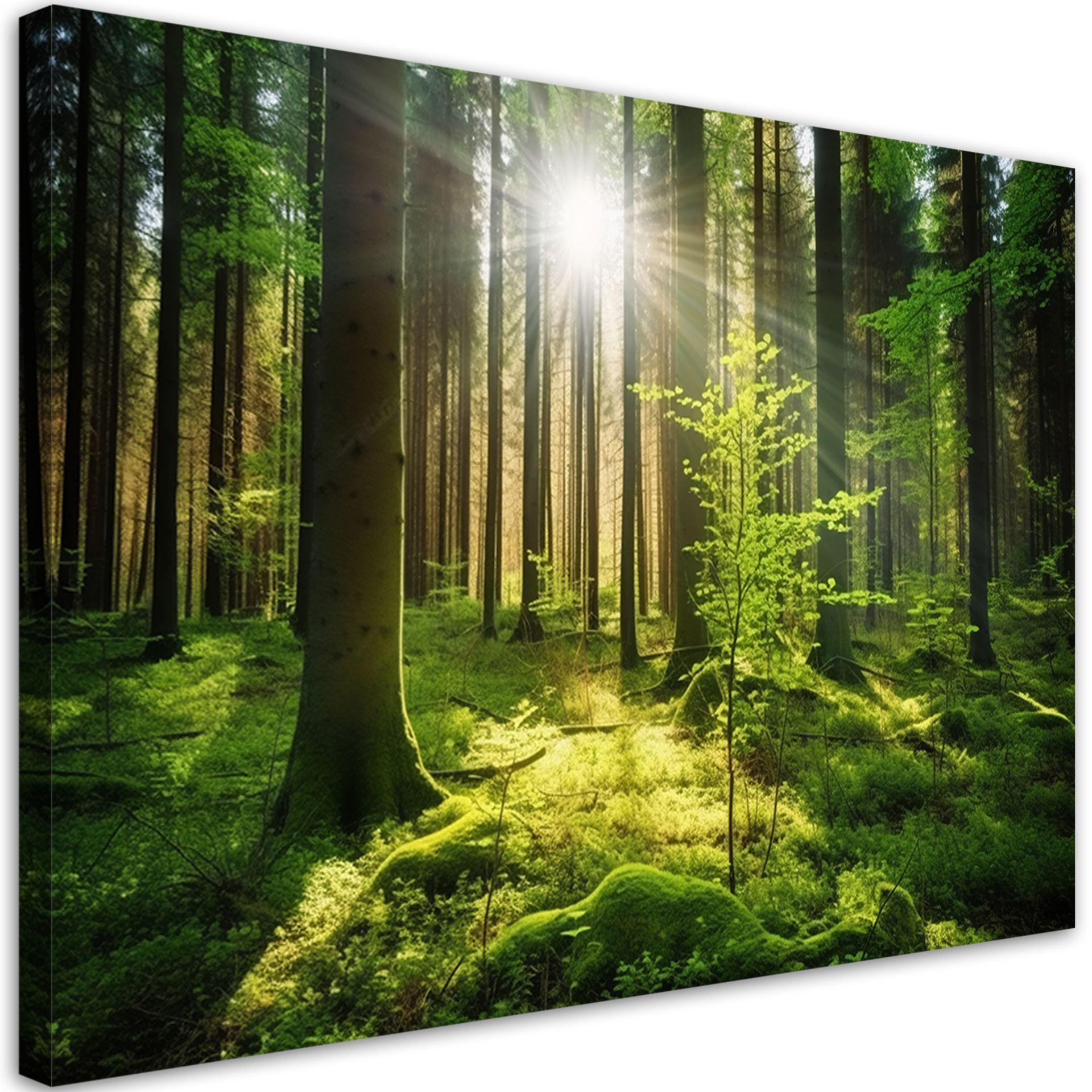 KUNSTDRUCK Grün 60/40 cm - Grün, Textil (60/40cm) - KUNSTLOFT