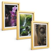 BILDER SET 3er Set - 20x30 cm Goldrahmen - Blumen, Wasserfall, Buddha-Felsen, Zen - Goldfarben, Kunststoff (20/30cm) - TULUP