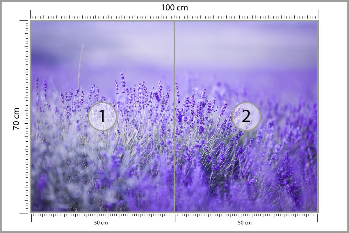 FOTOTAPETE für Küche Lavendelwiese Blüten Fliederfeld 100x70 - Violett/Lila, Papier (100/70cm) - Muralo