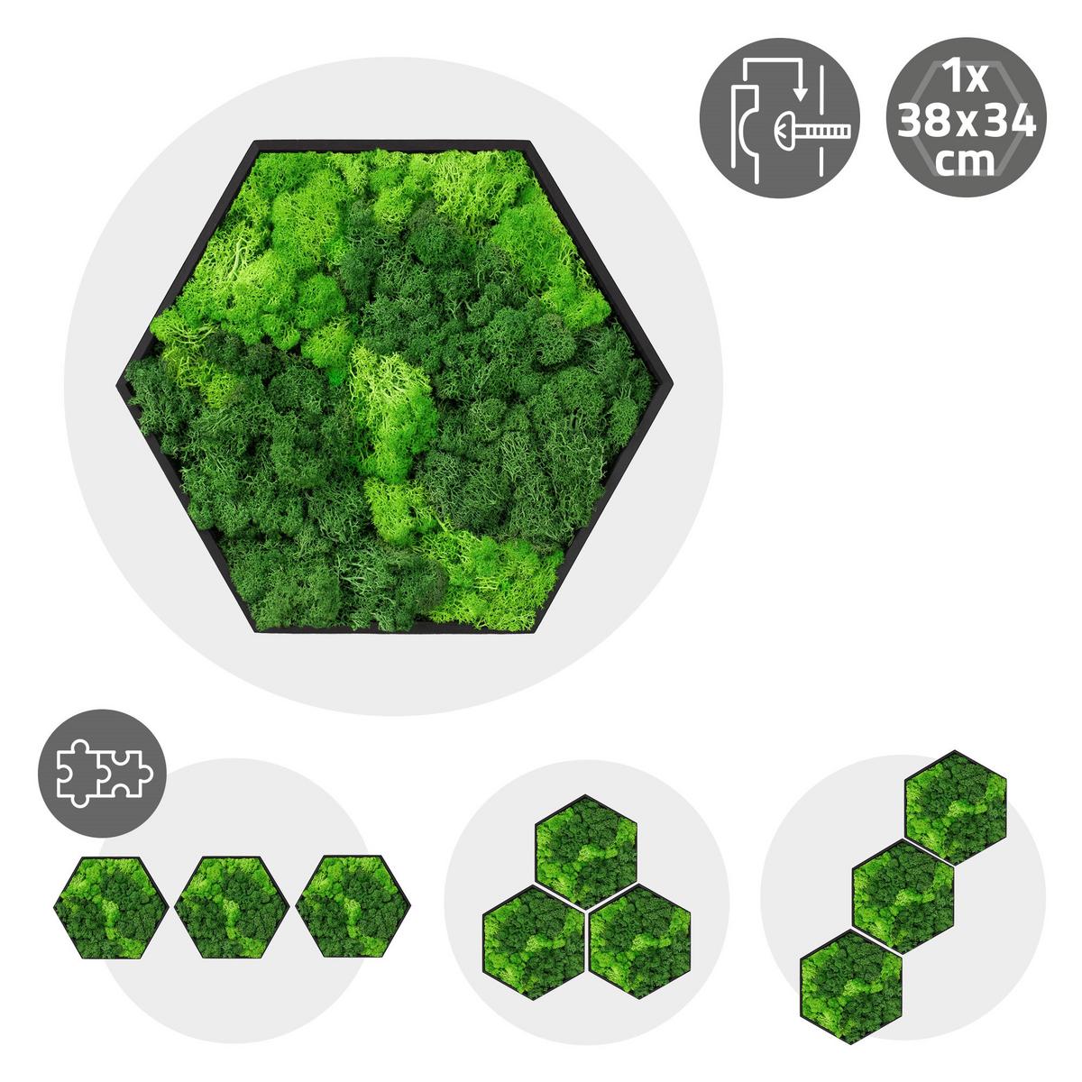 MOOSBILD Hexagon 38x34 cm Mooswand Indoor mit echtem Islandmoos und Holzrahmen Grün Pflegefrei - Hellgrün, Naturmaterialien (38/34/3.4cm) - ECD-Germany