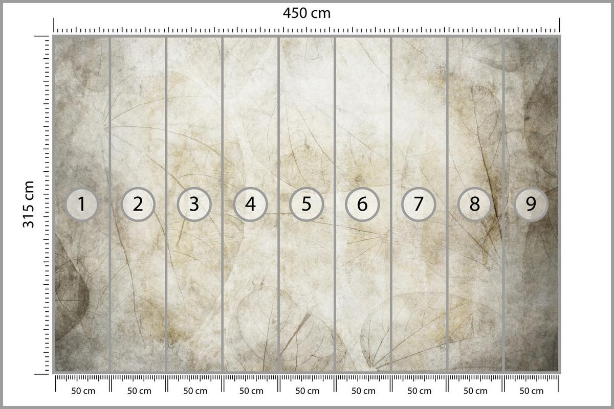 FOTOTAPETE für Wohnzimmer Blätter Beton Abstraktion 450x315 - Beige/Grau, Papier (450/315cm) - Muralo