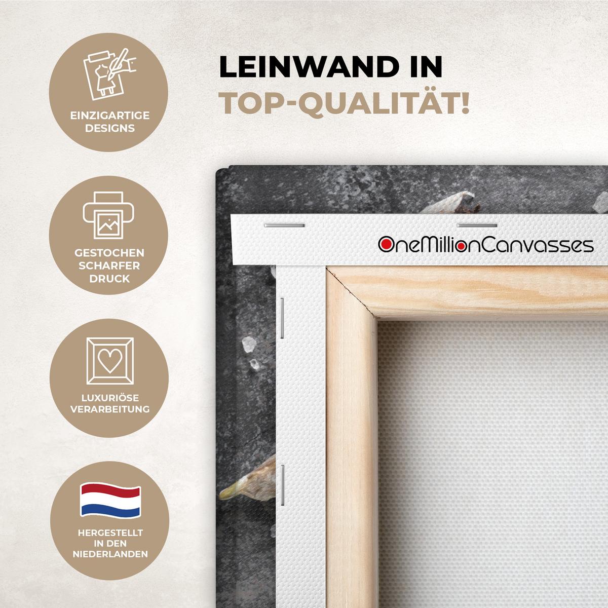 LEINWANDBILD Pfeffer - Kräuter - Gewürze - Beton Deko Wohnzimmer 20x20 cm - Dunkelgrau, Textil (20/20cm) - MuchoWow