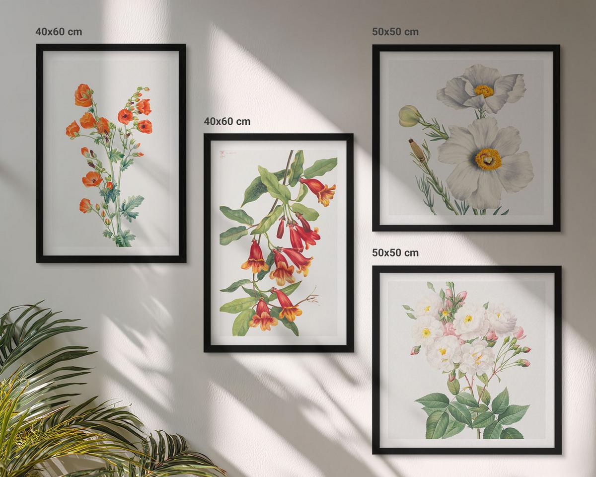BILDER SET 4er Set - 50x50 cm & 40x60 cm Schwarzer Rahmen - Retro-Blumenmalerei - Schwarz, Kunststoff (50/50cm) - TULUP