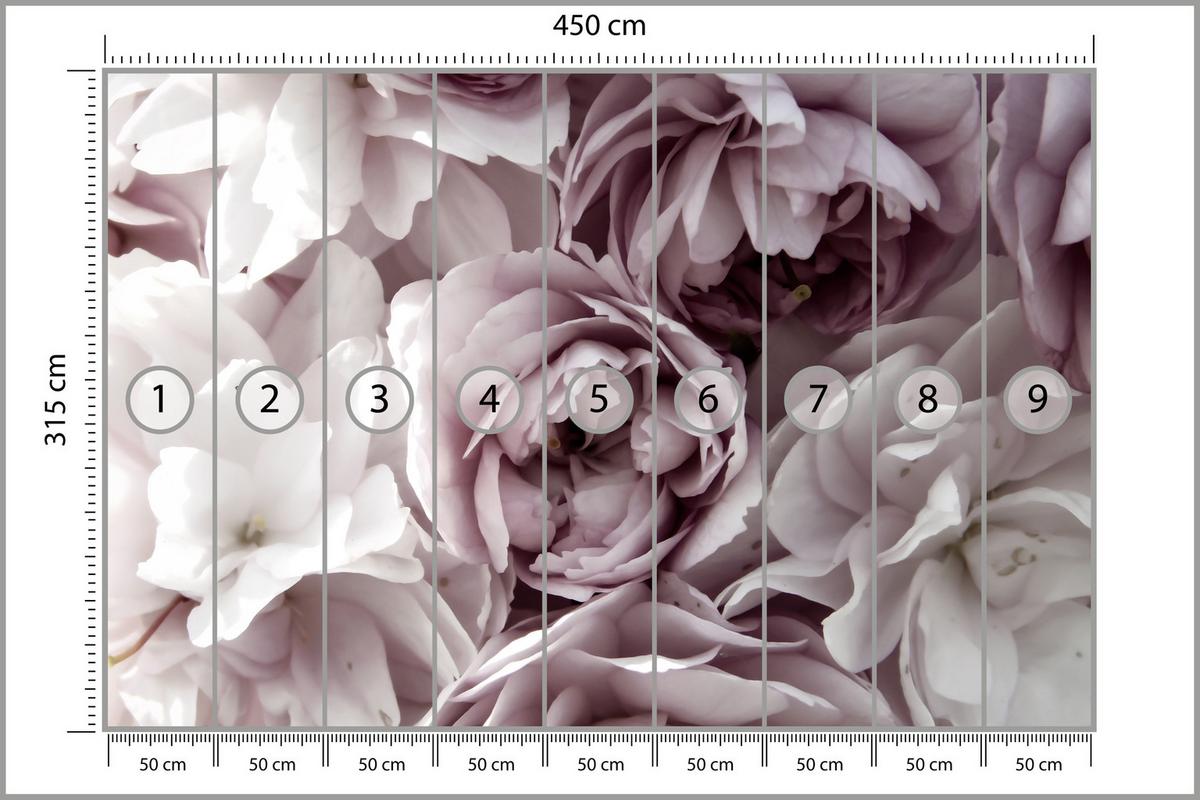 FOTOTAPETE für Badezimmer Pastell Pfingstrosen Blumen 450x315 - Beige/Violett, Papier (450/315cm) - Muralo
