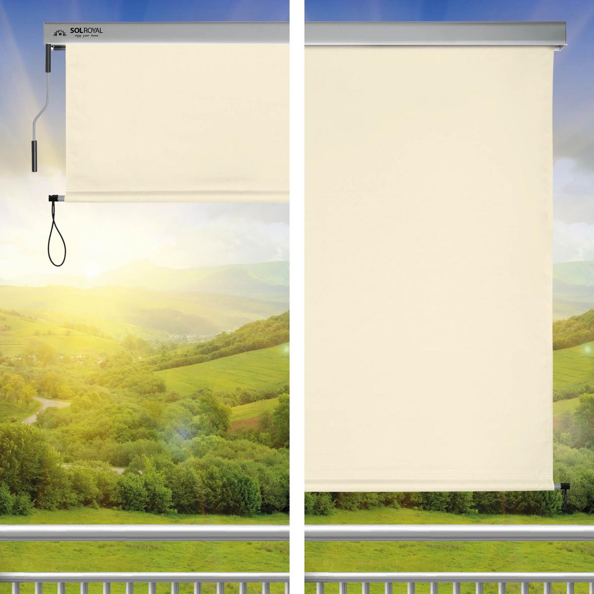 SENKRECHTMARKISE SolVision MS5 1,4/2,5 m Beige - Beige, Kunststoff (140/250/1cm) - Sol Royal