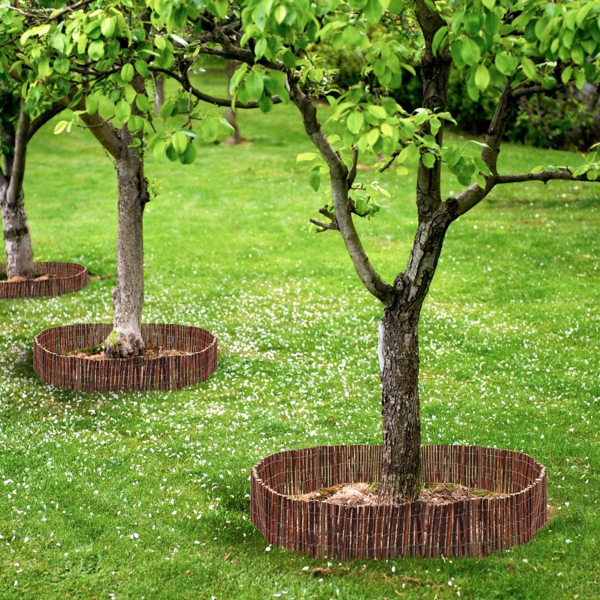 BEETEINFASSUNG Weide - 300x20 cm - Braun - Braun, Naturmaterialen (0.9/20cm) - urfence