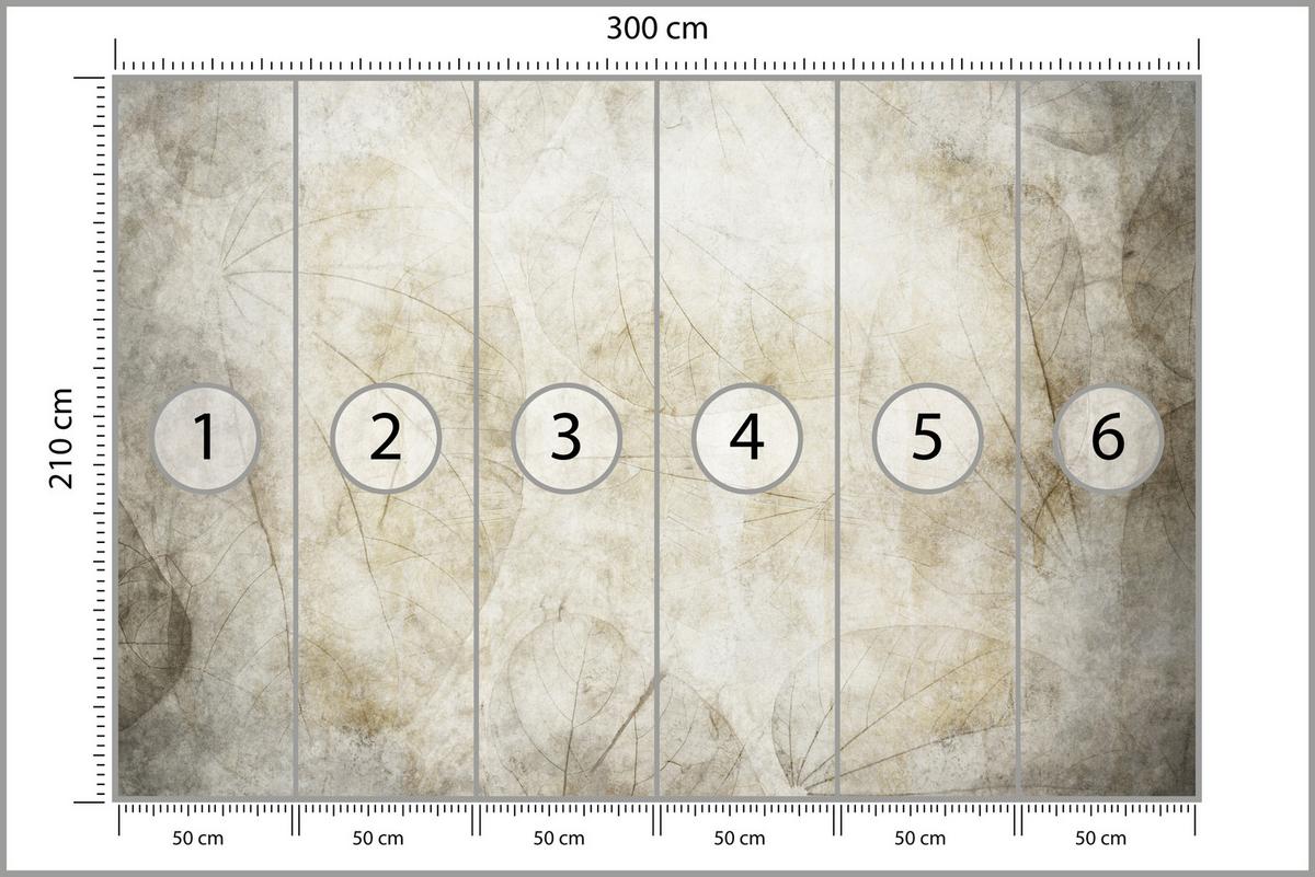 FOTOTAPETE für Wohnzimmer Blätter Beton Abstraktion 300x210 - Beige/Grau, Papier (300/210cm) - Muralo