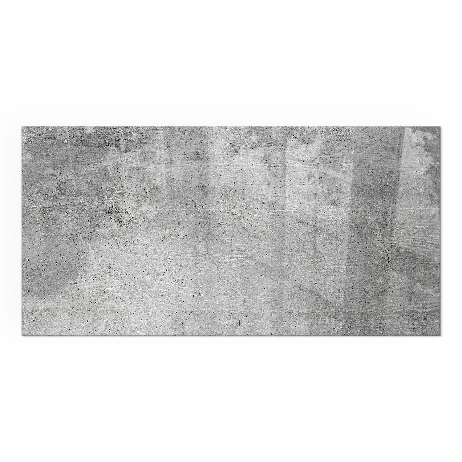 GLASPLATTE für Kamin 100x50 cm - Grau, Glas (100/50/0.4cm) - TULUP
