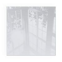 GLASPLATTE für Kamin 50x50 cm - Grau, Glas (50/50/0.4cm) - TULUP