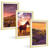 BILDER SET 3er Set - 40x60 cm Goldrahmen - Berglandschaft mit einem Pferd - Goldfarben, Kunststoff (40/60cm) - TULUP