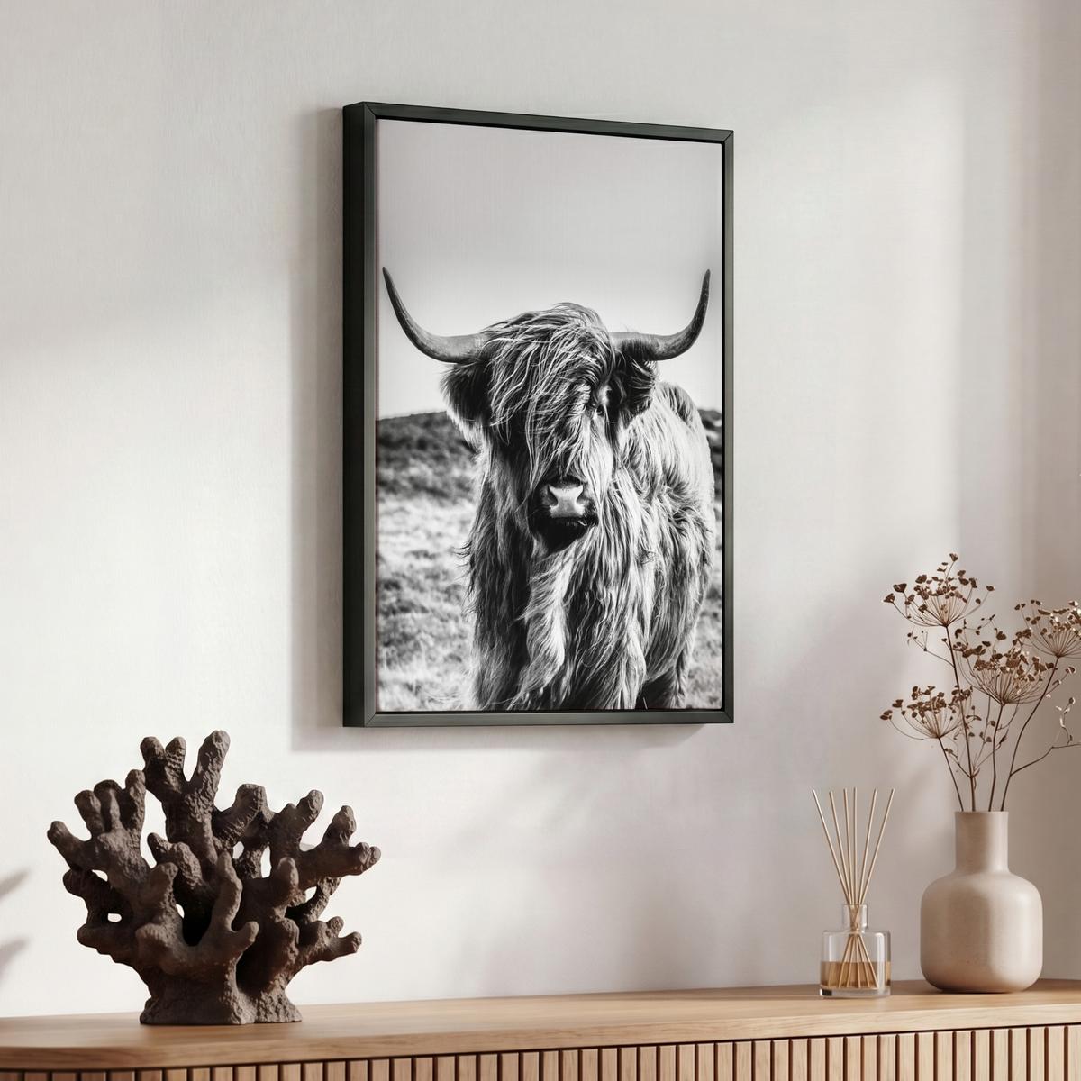 LEINWAND Bilder mit Rahmen - Kuh - Schottischer Hochländer - Schwarz - Weiß - Tier - Natur - Wildtiere - 30x40 - Schwarz, Textil (30/40cm) - MuchoWow
