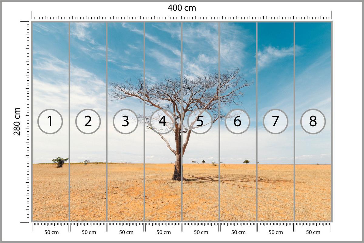 FOTOTAPETE für Wohnzimmer Trockener Baum Wüste Sand 400x280 - Beige/Orange, Papier (400/280cm) - Muralo