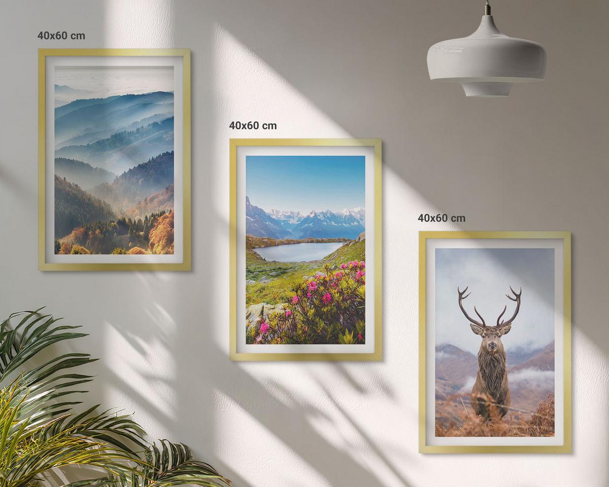 BILDER SET 3er Set - 40x60 cm Goldrahmen - Natur des Bergseehirsches - Goldfarben, Kunststoff (40/60cm) - TULUP
