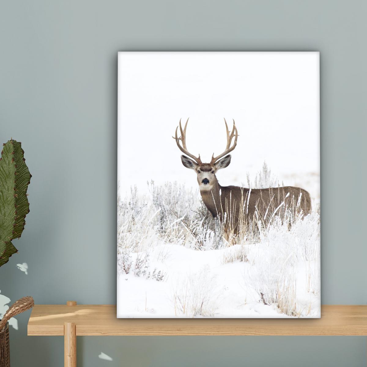 LEINWANDBILD Hirsche - Winter - Schnee - Tiere - Jahreszeiten - Weiß Room Decor 30x40 cm - Hellbraun, Textil (30/40cm) - MuchoWow
