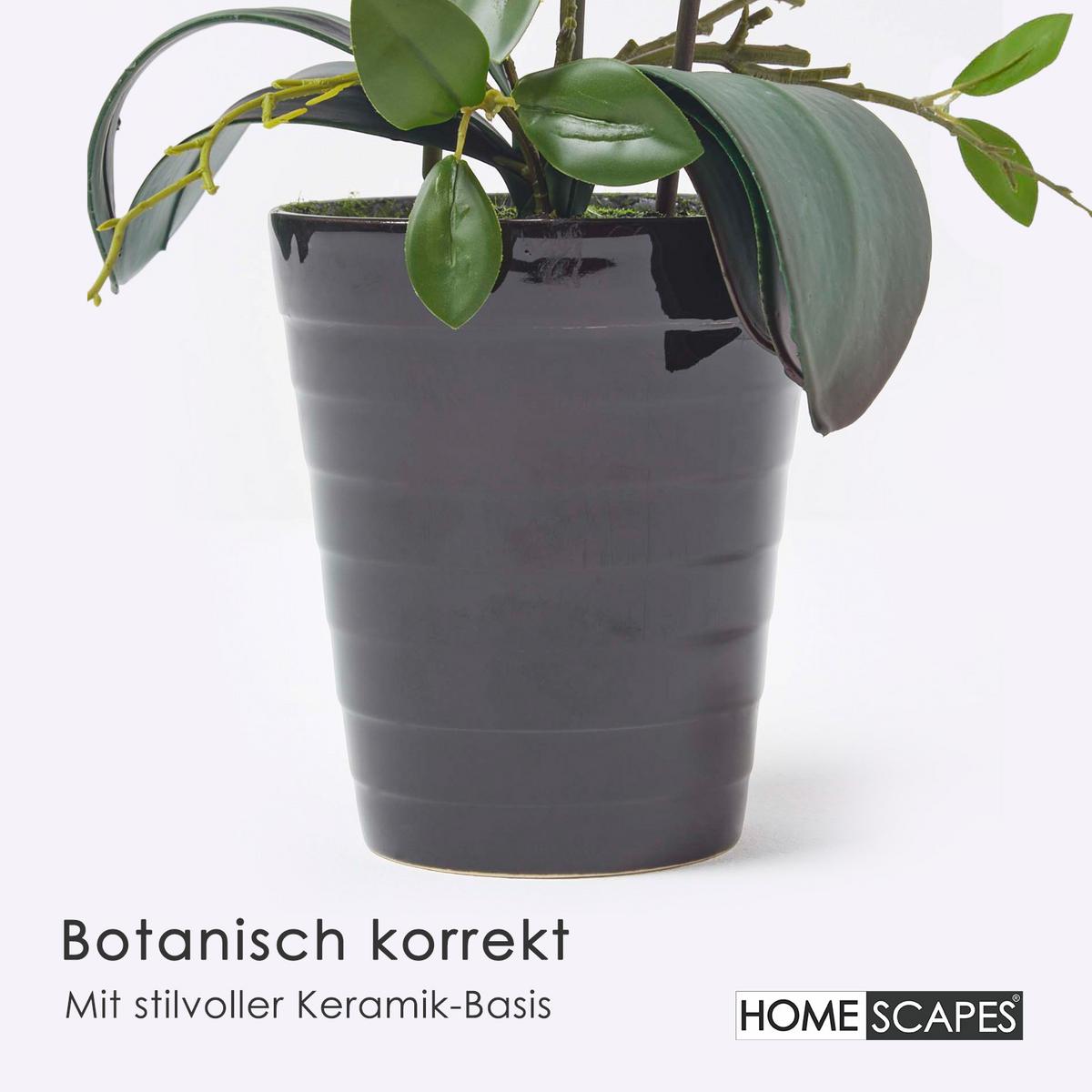 KUNSTBLUME Orchidee weiß-pink im Deko-Topf, 56 cm - Weiß, Kunststoff (56cm) - Homescapes