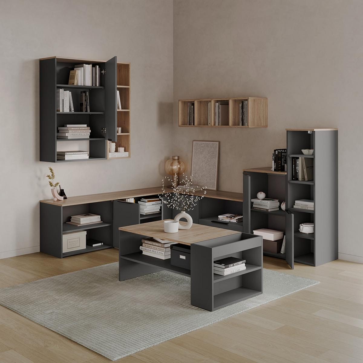 LOWBOARD Piave Anthrazit/Sonoma 60 x 50 cm mit 2 Fächern - Anthrazit/Sonoma Eiche, Holzwerkstoff (60/50/40cm) - Livinity®