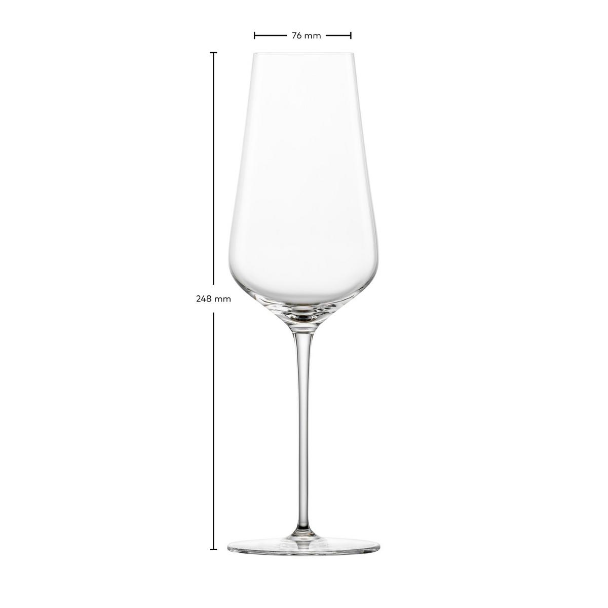 CHAMPAGNERGLÄSER Duo transparent 378 ml 2er Set - Transparent, Glas (0.378L) - Zwiesel Glas