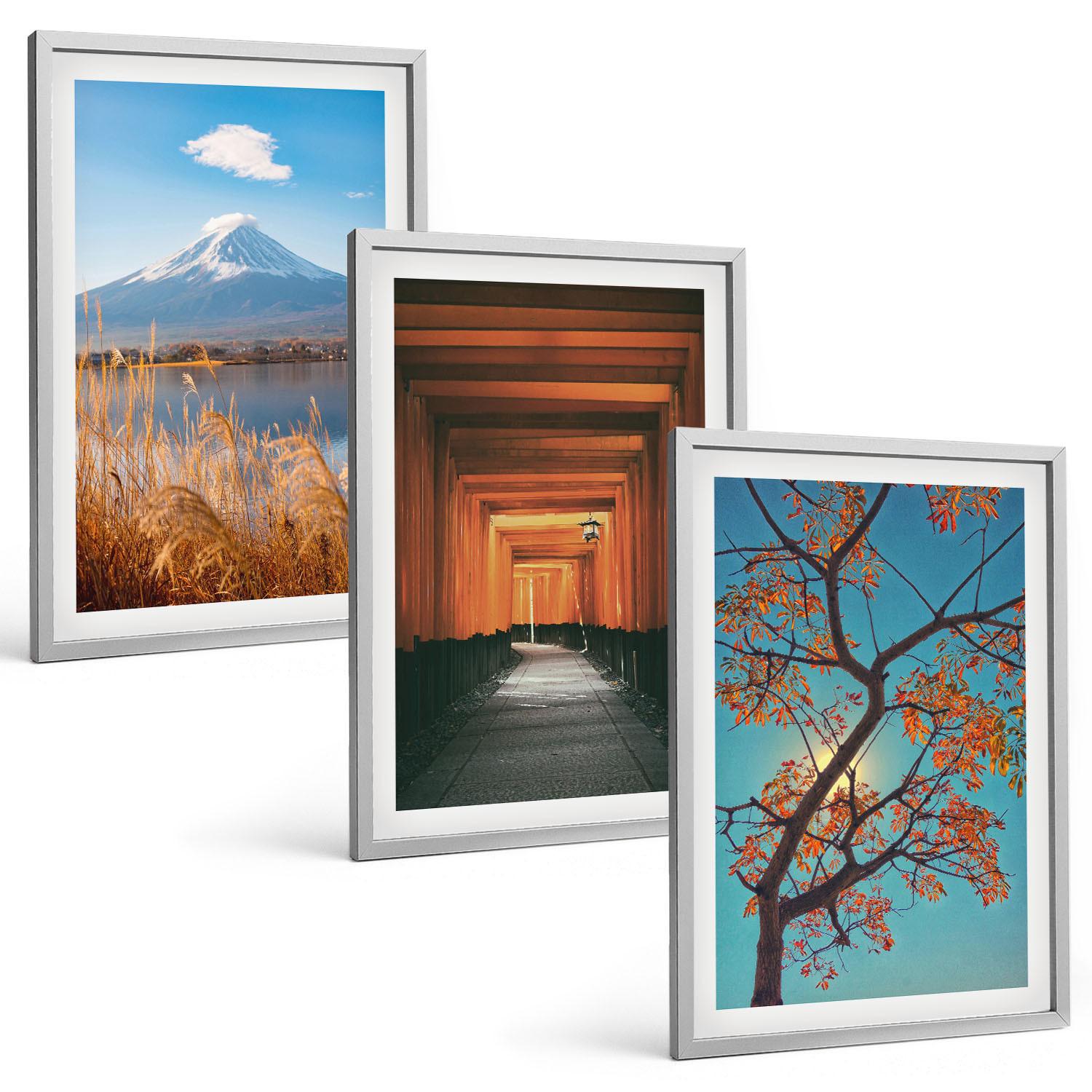 BILDER SET 3er Set - 40x60 cm Silberner Rahmen - Japanische Naturlandschaften - Silberfarben, Kunststoff (40/60cm) - TULUP
