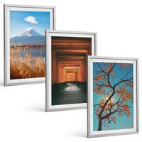 BILDER SET 3er Set - 40x60 cm Silberner Rahmen - Japanische Naturlandschaften - Silberfarben, Kunststoff (40/60cm) - TULUP