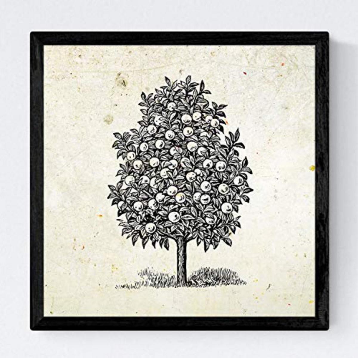 POSTER Set mit 4 Blättern der Bäume Obstbäume Jahrgang Hintergrund 30x30 cm Rahmenlos - Klar, Papier (30/3cm) - Nacnic