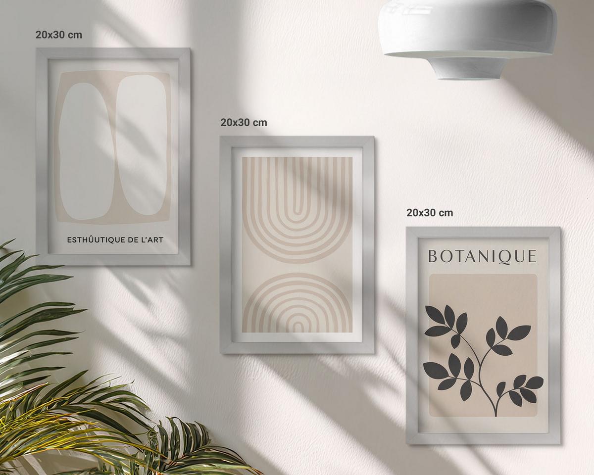 BILDER SET 3er Set - 20x30 cm Silberner Rahmen - Boho-Pflanzenposter - Silberfarben, Kunststoff (20/30cm) - TULUP