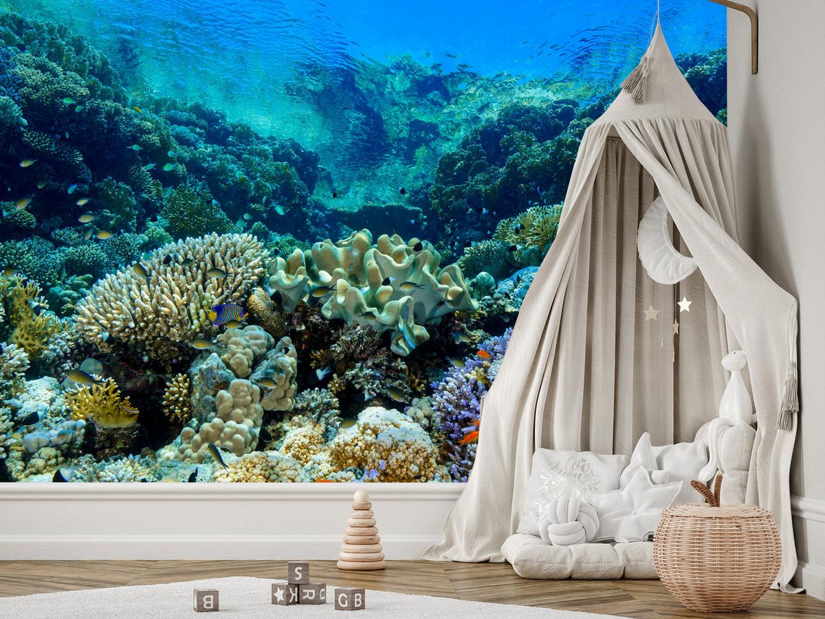FOTOTAPETE Unterwasserwelt Korallenriff Bunte Fische Meer Natur 300x210 - Türkis/Gelb, Papier (300/210cm) - Muralo